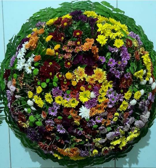 coroa1 (12).jpg
