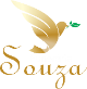 logo FS - funeraria souza.png